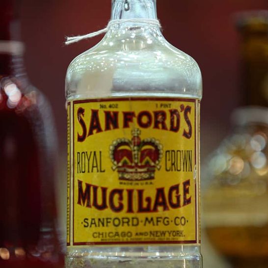 SanfordsMucilage_vm